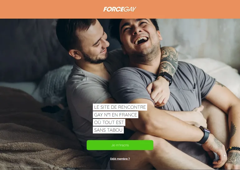 ForceGay avis page d'accueil