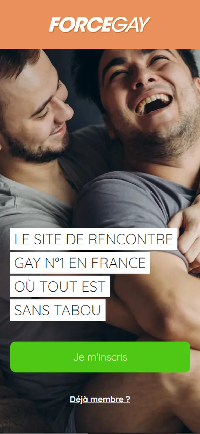 ForceGay avis vue mobile
